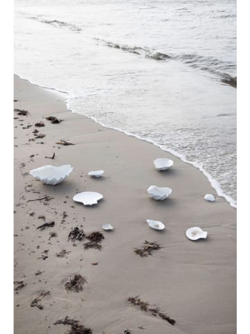 Byon Schale "Shell" in Weiß - (B)23 x (H)16 cm