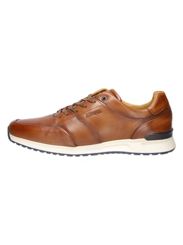 SALAMANDER Leren sneakers lichtbruin