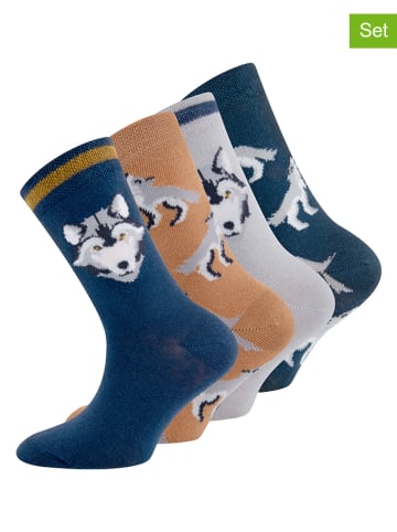 ewers 4-delige set: sokken meerkleurig