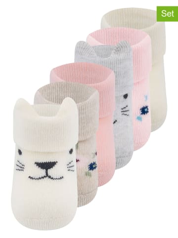 ewers 6er-Set: Babysocken in Bunt
