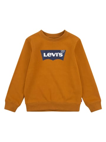 Levi's Kids Sweatshirt in Hellbraun