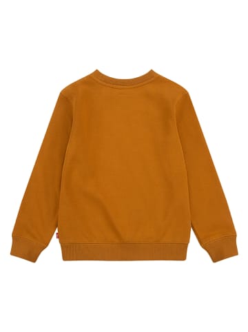 Levi's Kids Bluza w kolorze jasnobrÄ…zowym