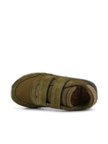 WODEN Sneakers "Nor Suede" groen
