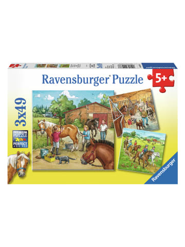 Ravensburger 3x 49tlg. Puzzle "Mein Reiterhof" - ab 5 Jahren