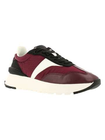 Bullboxer Sneakers in Bordeaux/ Schwarz