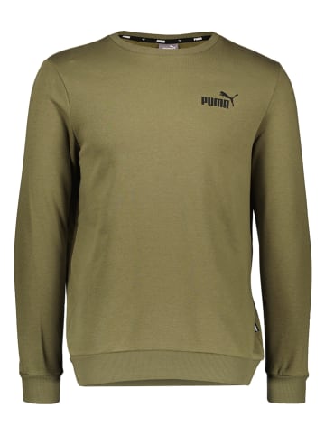 Puma Sweatshirt in Khaki