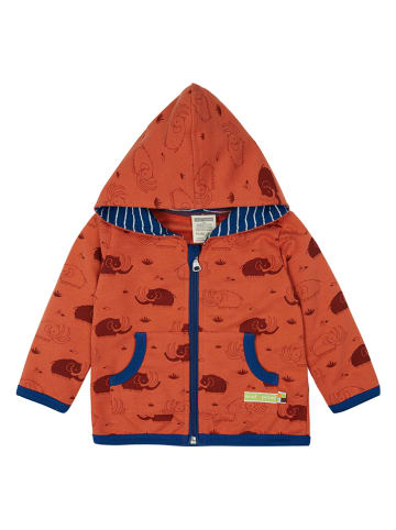 loud + proud Sweatjacke in Orange