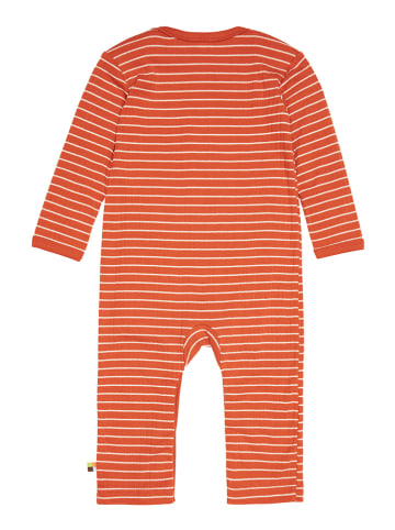 loud + proud Pakje oranje