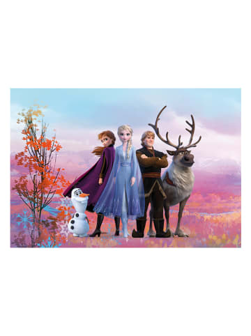 Komar Fotobehang "Frozen Iconic" - (B)368 x (H)254 cm