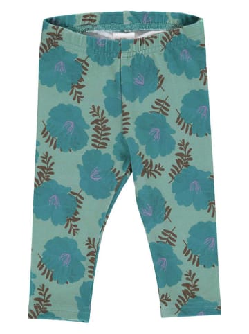 Fred´s World by GREEN COTTON Leggings in Grün
