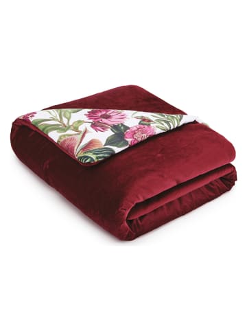 CXL by Christian Lacroix Tagesdecke in Rot
