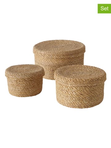 Boltze 3-delige set: manden "Sophy" lichtbruin