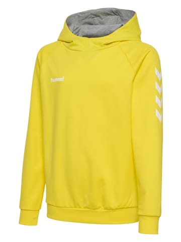 Hummel Hoodie in Gelb