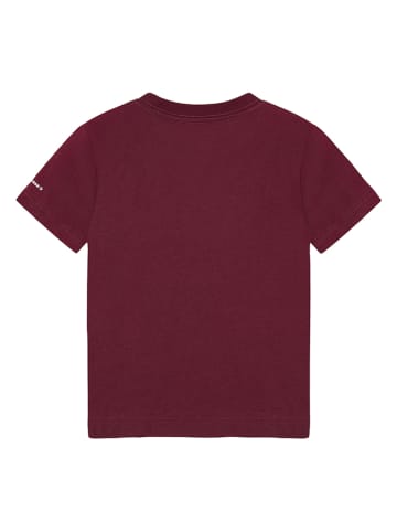 Converse Shirt in Bordeaux