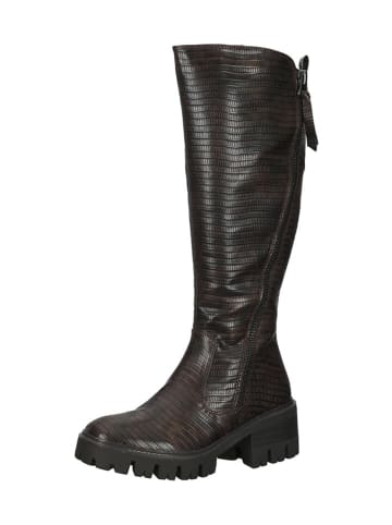 Marco Tozzi Stiefel in Dunkelbraun