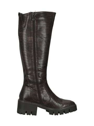 Marco Tozzi Stiefel in Dunkelbraun