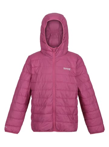 Regatta Steppjacke "Hillpck" in Mauve