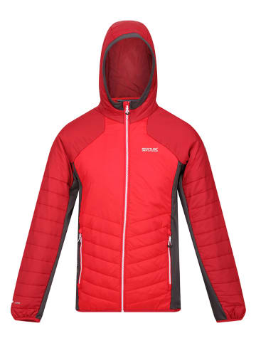 Regatta Steppjacke "Trutton" in Rot