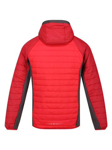 Regatta Steppjacke "Trutton" in Rot