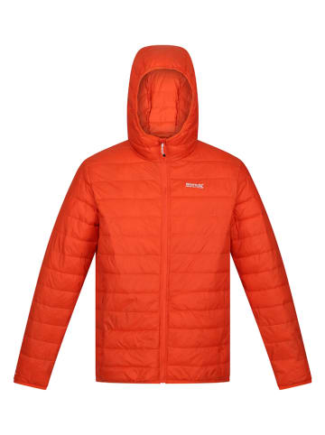 Regatta Steppjacke "Hillpack" in Rot