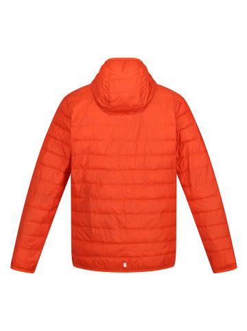 Regatta Steppjacke "Hillpack" in Rot
