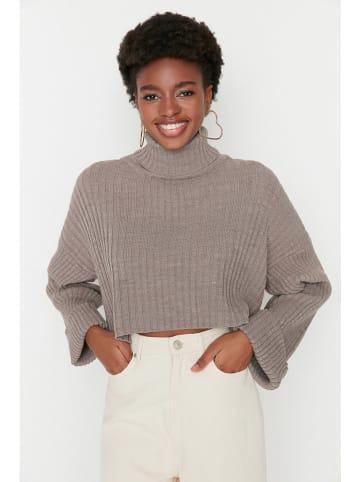 trendyol Rollkragenpullover in Taupe