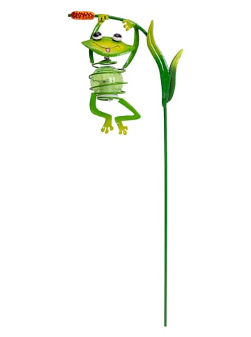 näve Ledsolartuinsteker "Kikker" groen - (H)66 x Ø 15 cm