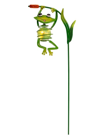 näve Ledsolartuinsteker "Kikker" groen - (H)66 x Ø 15 cm