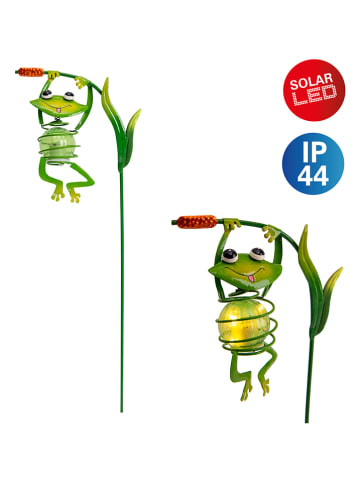 näve Solarna lampa ogrodowa LED "Frosch" w kolorze zielonym - wys. 66 x Ø 15 cm