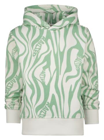 RAIZZED® Hoodie "Arizona" groen/wit