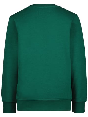 RAIZZED® Sweatshirt "Nubian" groen