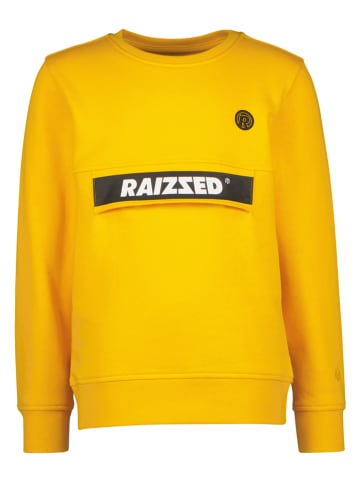 RAIZZED® Sweatshirt "Nubian" mosterdgeel