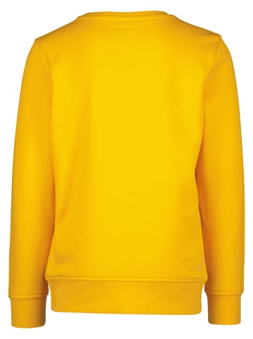 RAIZZED® Sweatshirt "Nubian" in Senf