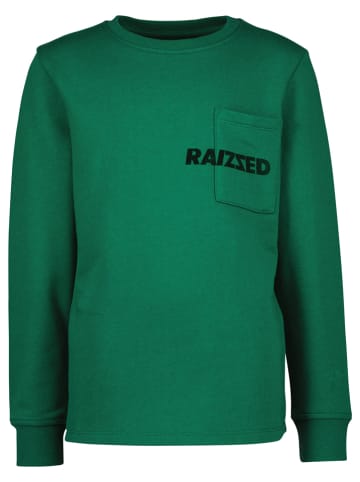 RAIZZED® Sweatshirt "Ashmont" groen