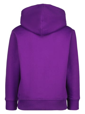 RAIZZED® Hoodie "Kaj Junior" paars