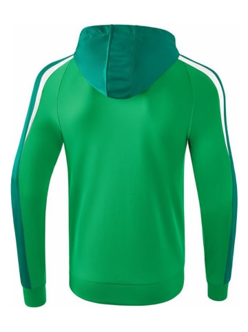 erima Trainingsvest "Liga 2.0" groen