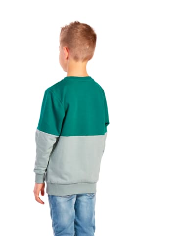 erima Sweatshirt "Leon" groen/limoengroen