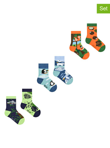 Spox Sox 3-delige set: sokken meerkleurig