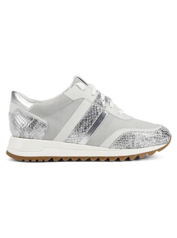 Geox Leder-Sneakers "Dtabelya" in Silber/ Grau