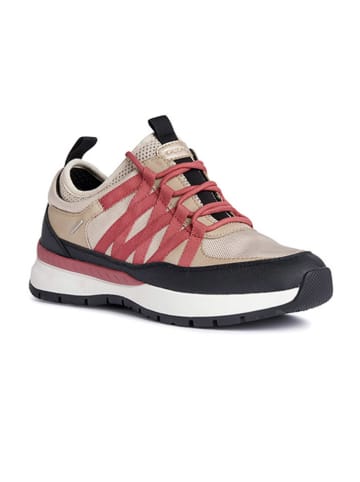 Geox Sneakers "Dbraiesbabx" in Beige/ Rosa/ Dunkelblau