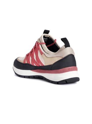 Geox Sneakers "Dbraiesbabx" in Beige/ Rosa/ Dunkelblau