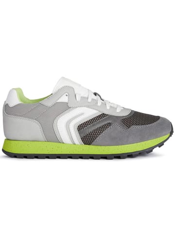 Geox Sneakers "Uponente" in Grau/ Weiß