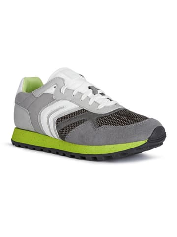 Geox Sneakers "Uponente" in Grau/ Weiß