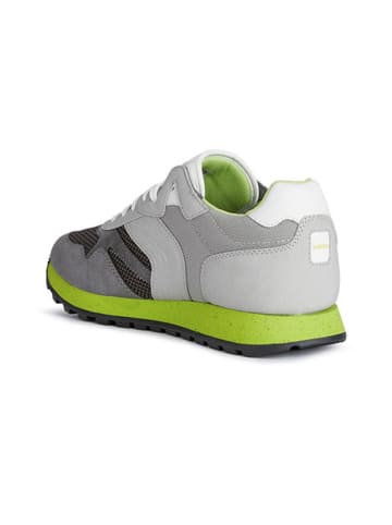 Geox Sneakers "Uponente" in Grau/ Weiß