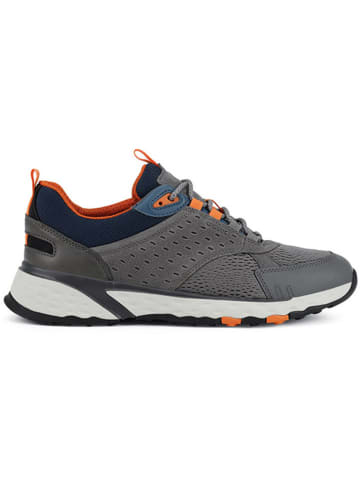 Geox Sneakers "Usterrato" in Grau