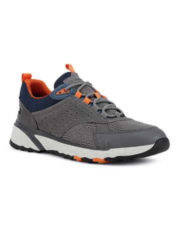 Geox Sneakers "Usterrato" in Grau
