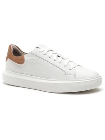 Geox Leder-Sneakers "Deiven" in Weiß/ Braun