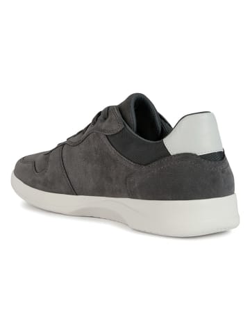 Geox Sneakers "Kennet" grijs