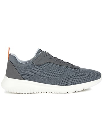 Geox Sneakers "Monreale" in Grau