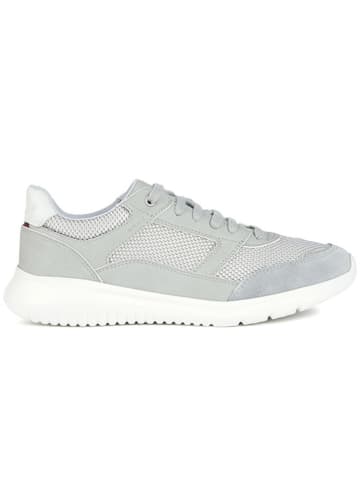 Geox Sneakers "Monreale" in Grau